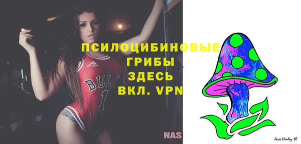 винт Алзамай